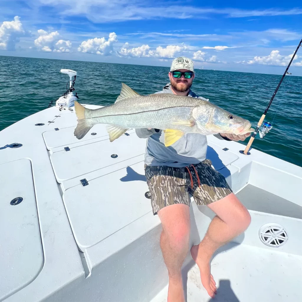 snook caught near crystal river